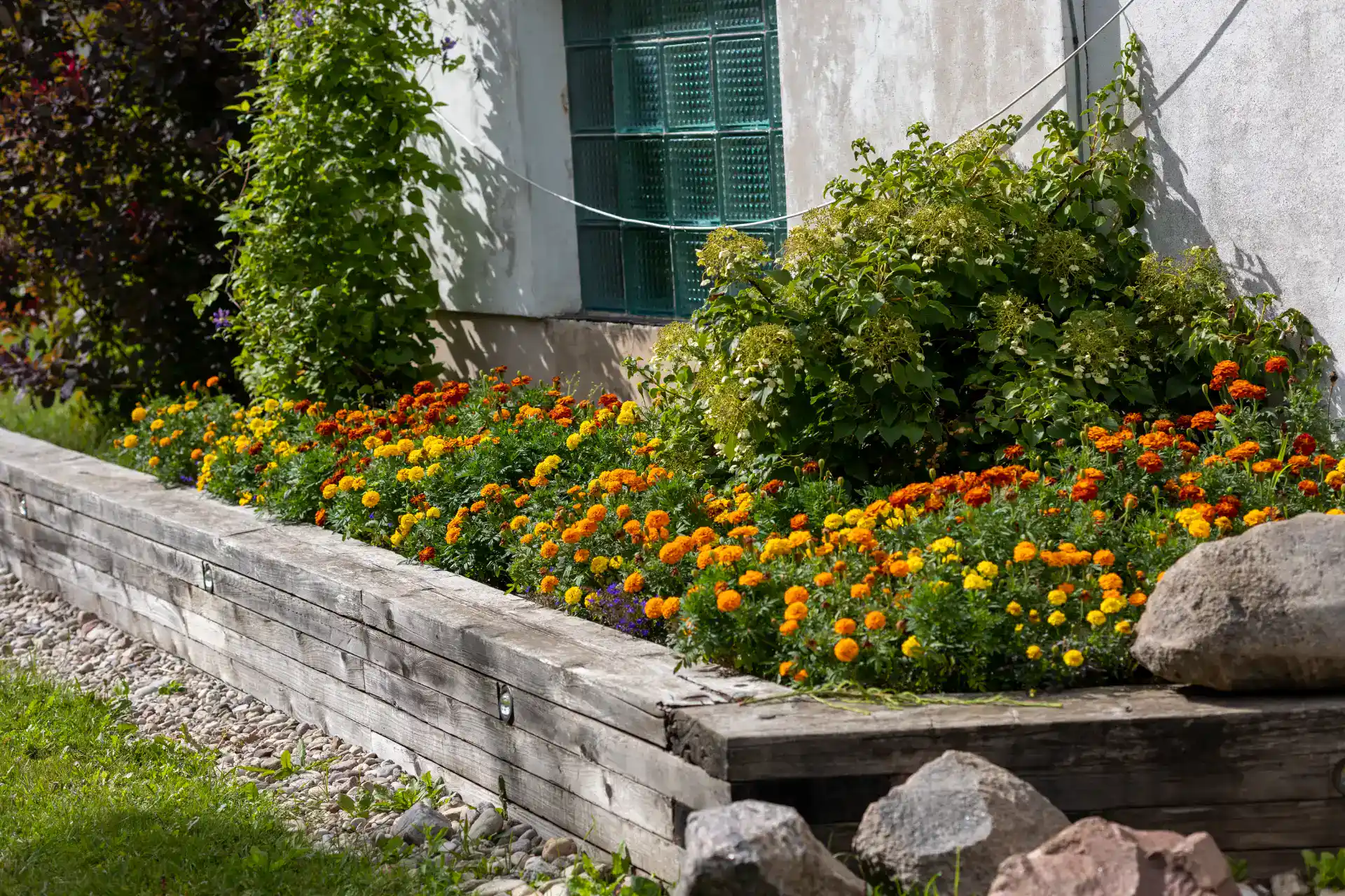 Støttemur med blomster og grønne planter i haven.